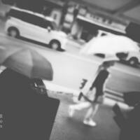 画像1009