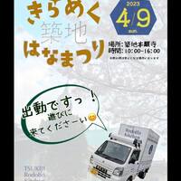 画像446